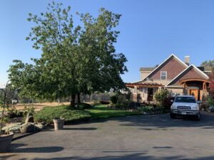 October in Cheney has been full of warm days (in the 70's) and lots of green.