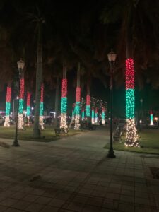 Marina palm trees with lighted trunks