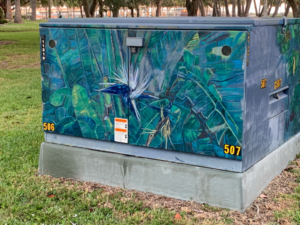 2022-12-06 electrical box, bird of paradise