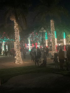 Marina palm trees with lighted trunks