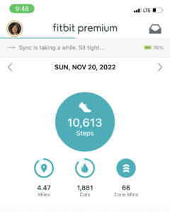 2022-11-20 FItBit