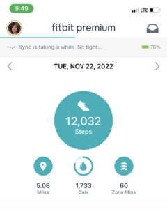 2022-11-22 FitBit