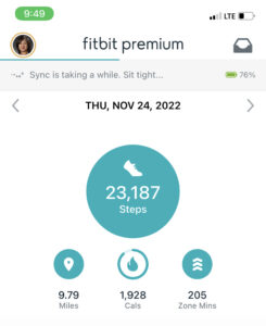 2022-11-24 FitBit