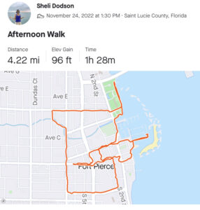 2022-11-24 Strava2