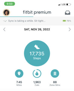 2022-11-26 FitBit