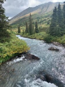 Along the hiking trail of Symphony & Eagle lakes; Eagle River, Alaska