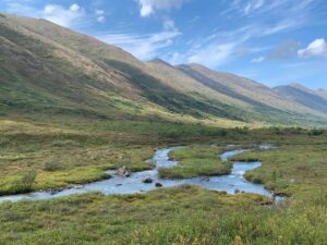 Gentle streams along the hiking trail of Symphony & Eagle lakes; Eagle River, Alaska