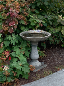 2022-09-26 birdbath at St Lukes Episc Gresham OR