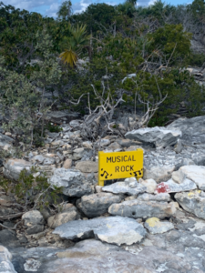 2023-02-01 Musical Rock sign on the hike up Boo Boo Hill