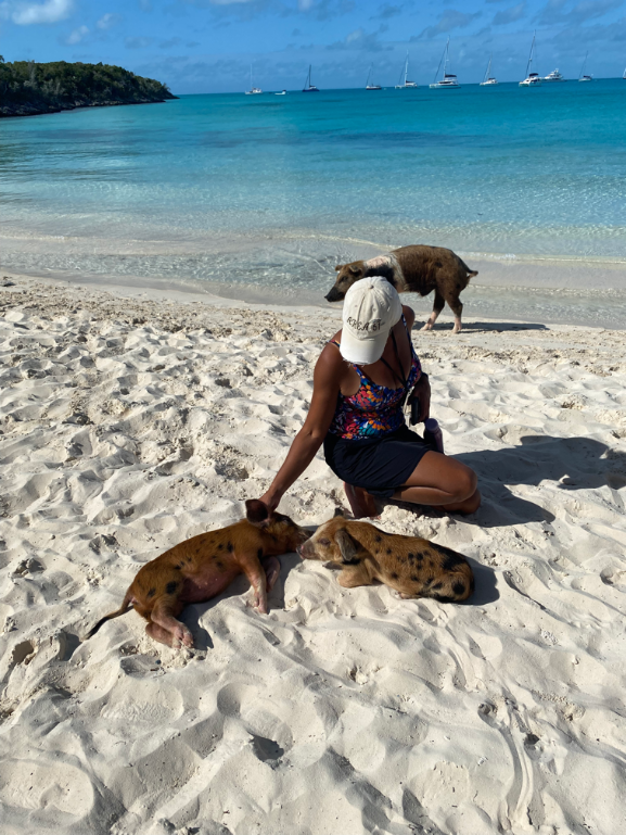 Sheli petting piglets on Pig Beach