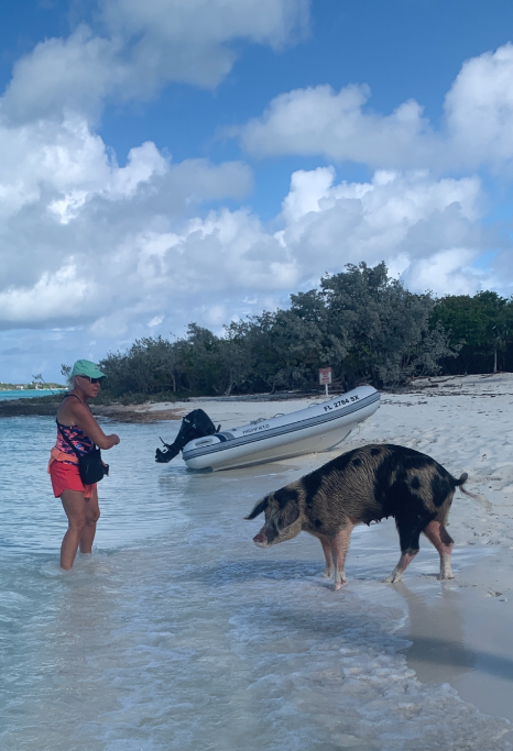 Teri was NOT a fan of Pig Beach