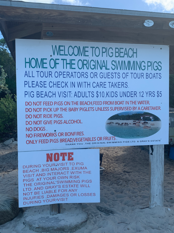 Welcome to Pig Beach (Rule sign)