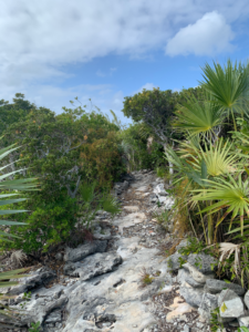 2023-02-16 Moriah Harbour Cay National Park trail1