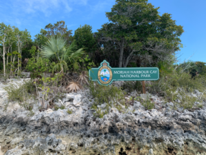 2023-02-16 Moriah Harbour Cay Natl Park