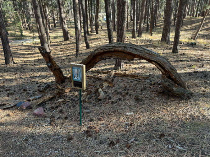 Benet Hill Monastery sacred Ute prayer trees