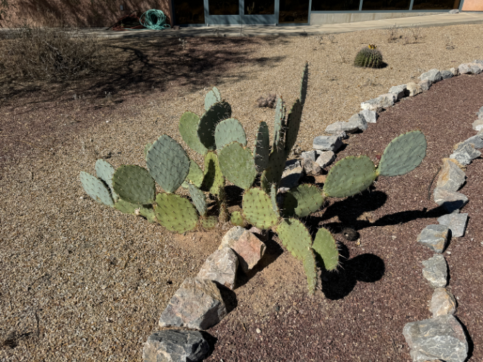 Episcopal Church of the Apostles labyrinth