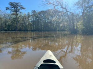 Canoeing on the bayou!